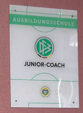 Juniorcoach